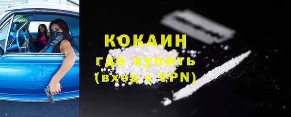 PSILOCYBIN Аркадак