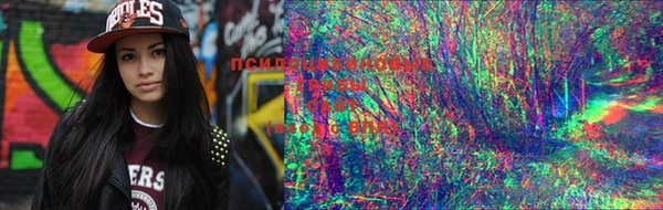 марки lsd Баксан