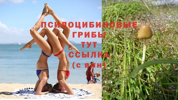 ECSTASY Арсеньев