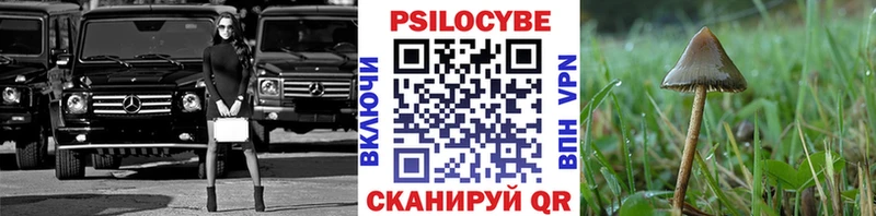 Купить Бирск Галлюциногенные грибы мухоморы